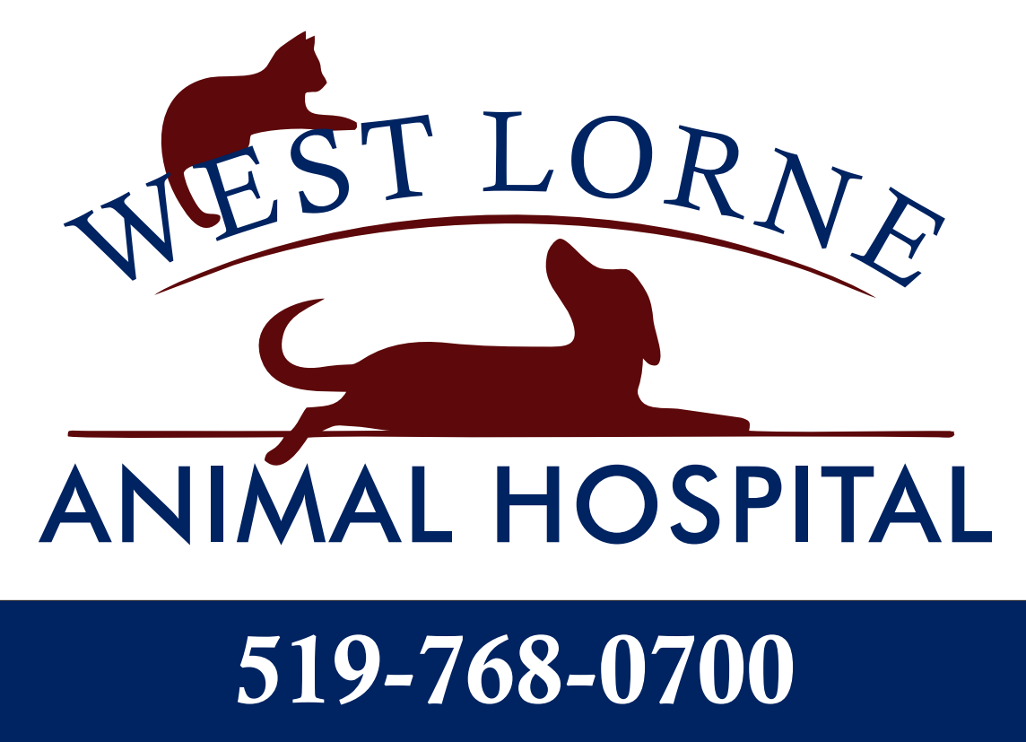 West_Lorne_Animal_Hospital.png